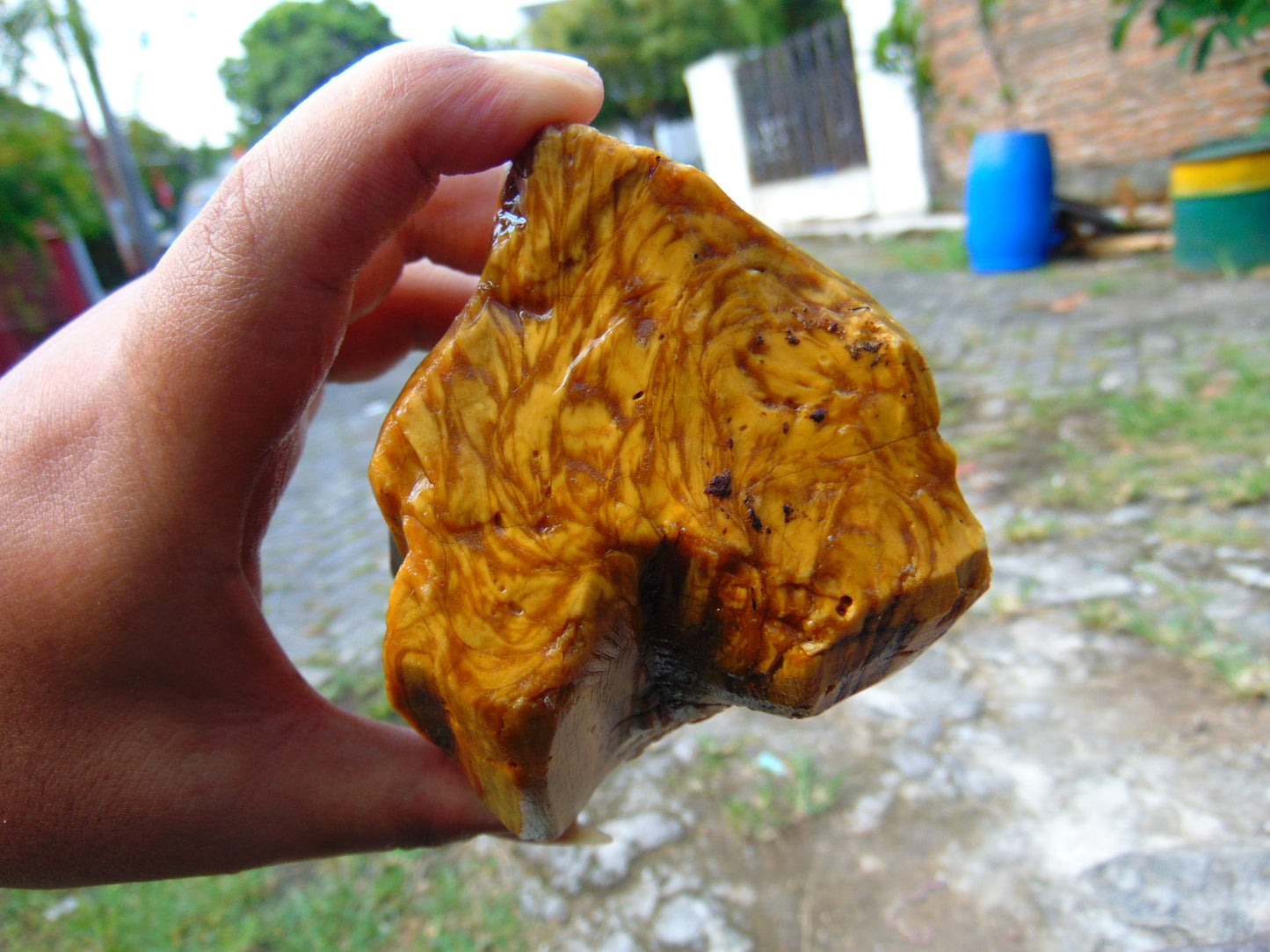 258 gram Polished Indonesia Yellow Fragrance Amber for Healing FK10