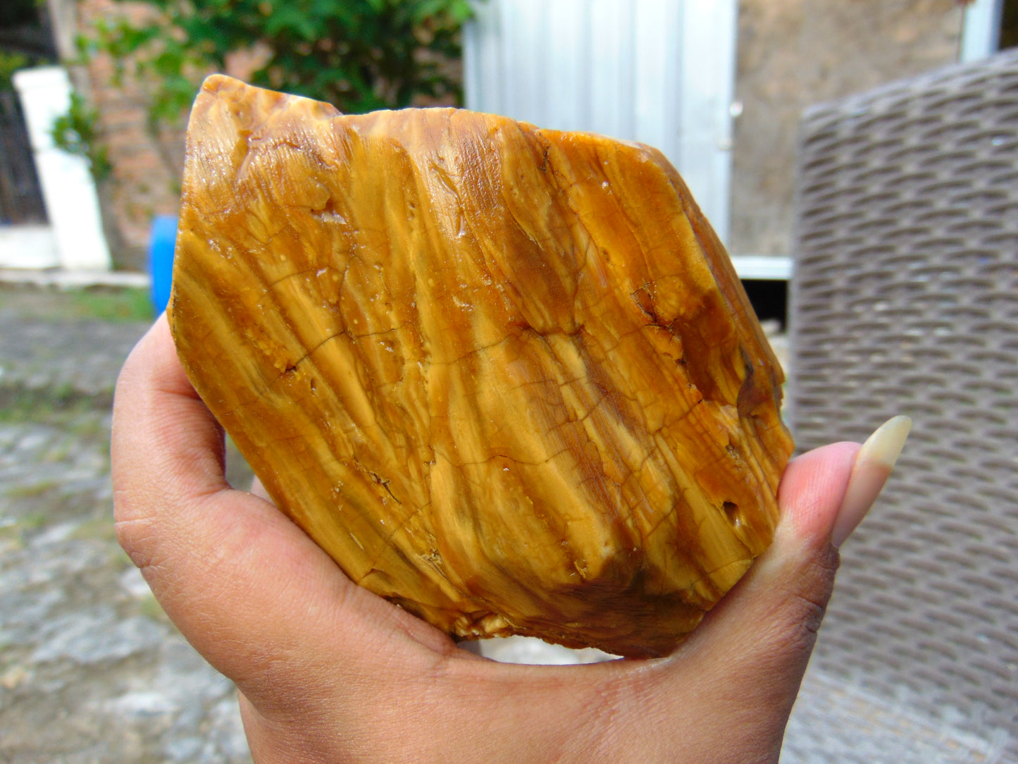 258 gram Polished Indonesia Yellow Fragrance Amber for Healing FK10