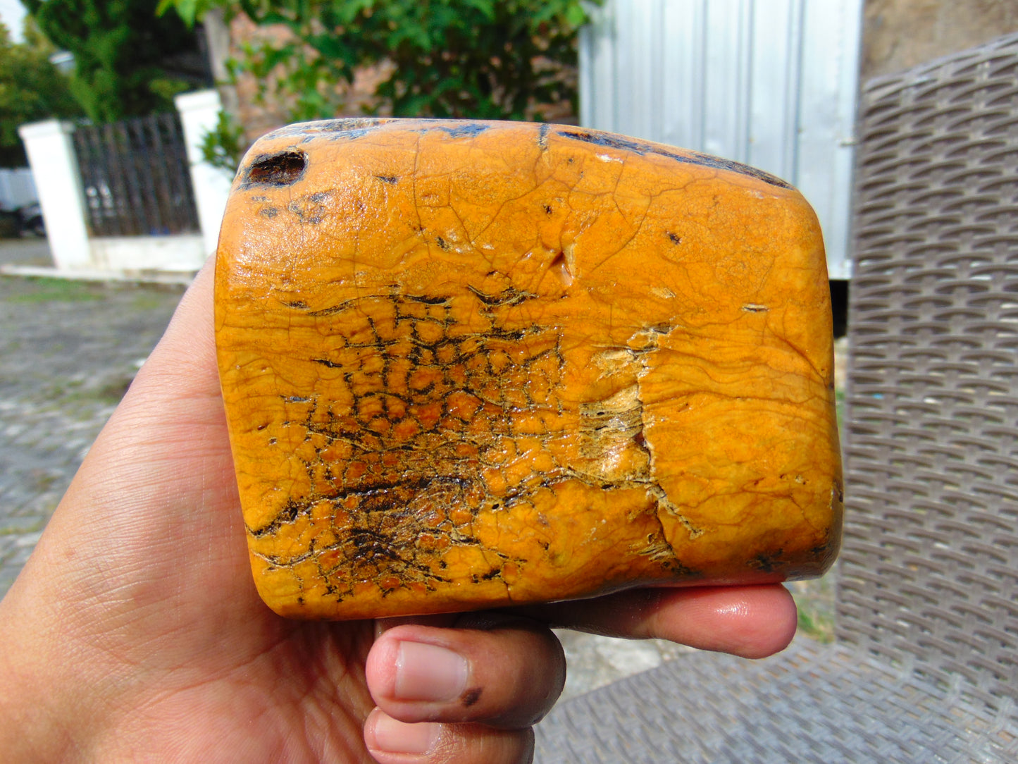 386 gram Polished Indonesia Yellow Fragrance Amber for Healing FK5