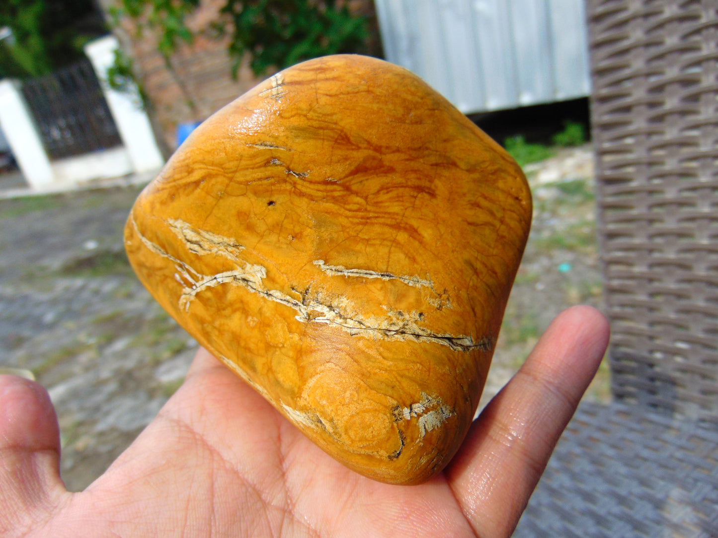 237 gram Polished Indonesia Yellow Fragrance Amber for Healing FK6