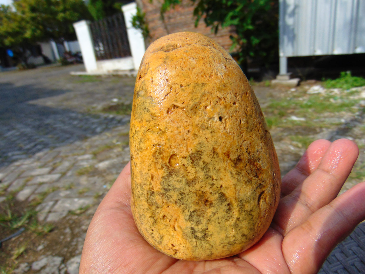 342 gram Polished Indonesia Yellow Fragrance Amber for Healing FK8
