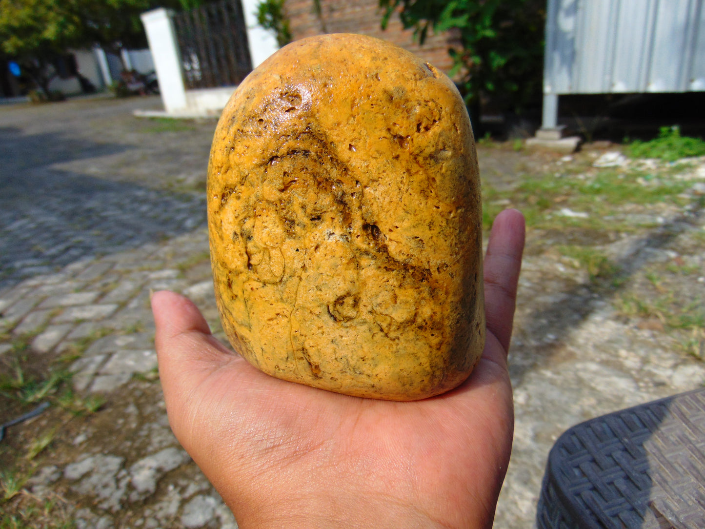 342 gram Polished Indonesia Yellow Fragrance Amber for Healing FK8
