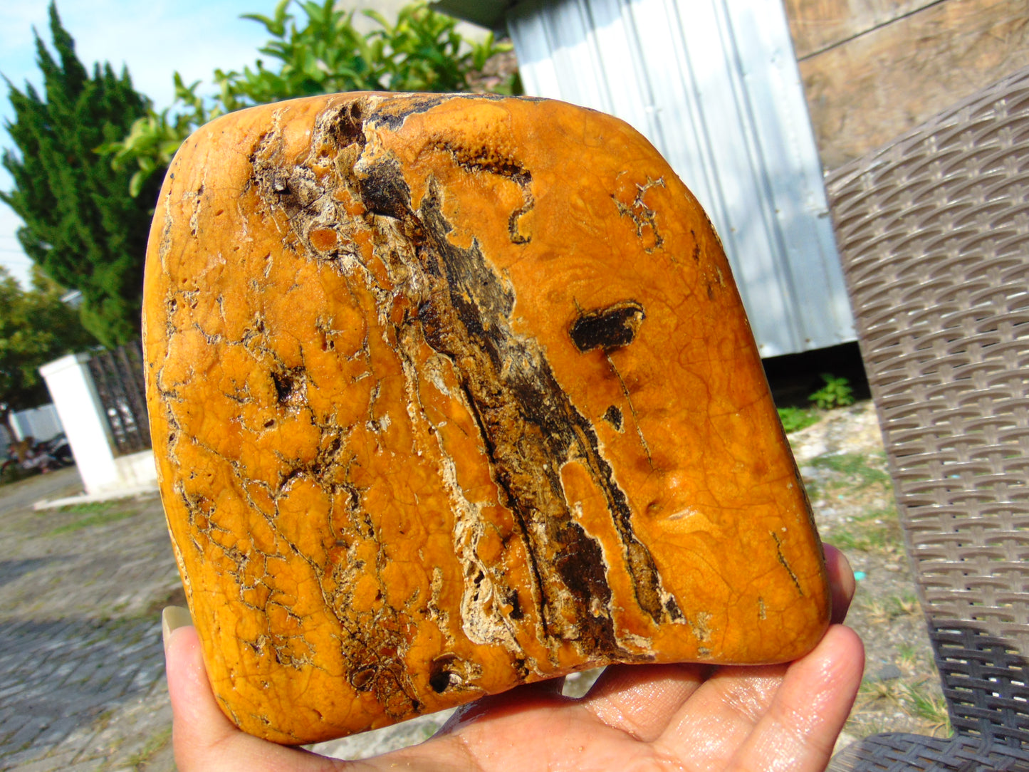 531 gram Polished Indonesia Yellow Fragrance Amber for Healing FK3