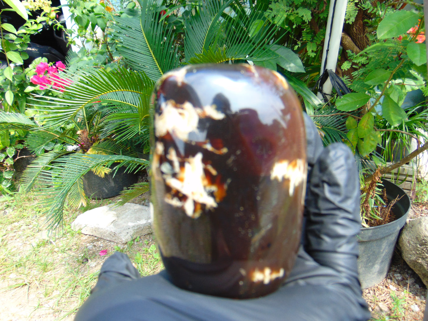 268 gram Polished Stone 83x68x61 Indonesian for Healing 25A179