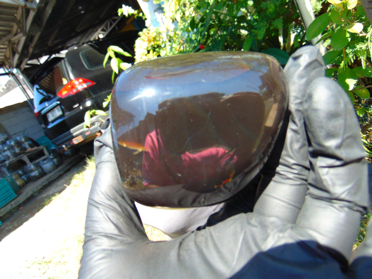269 gram polished stone 79X72X69 Indonesian Amber for Healing 25N165