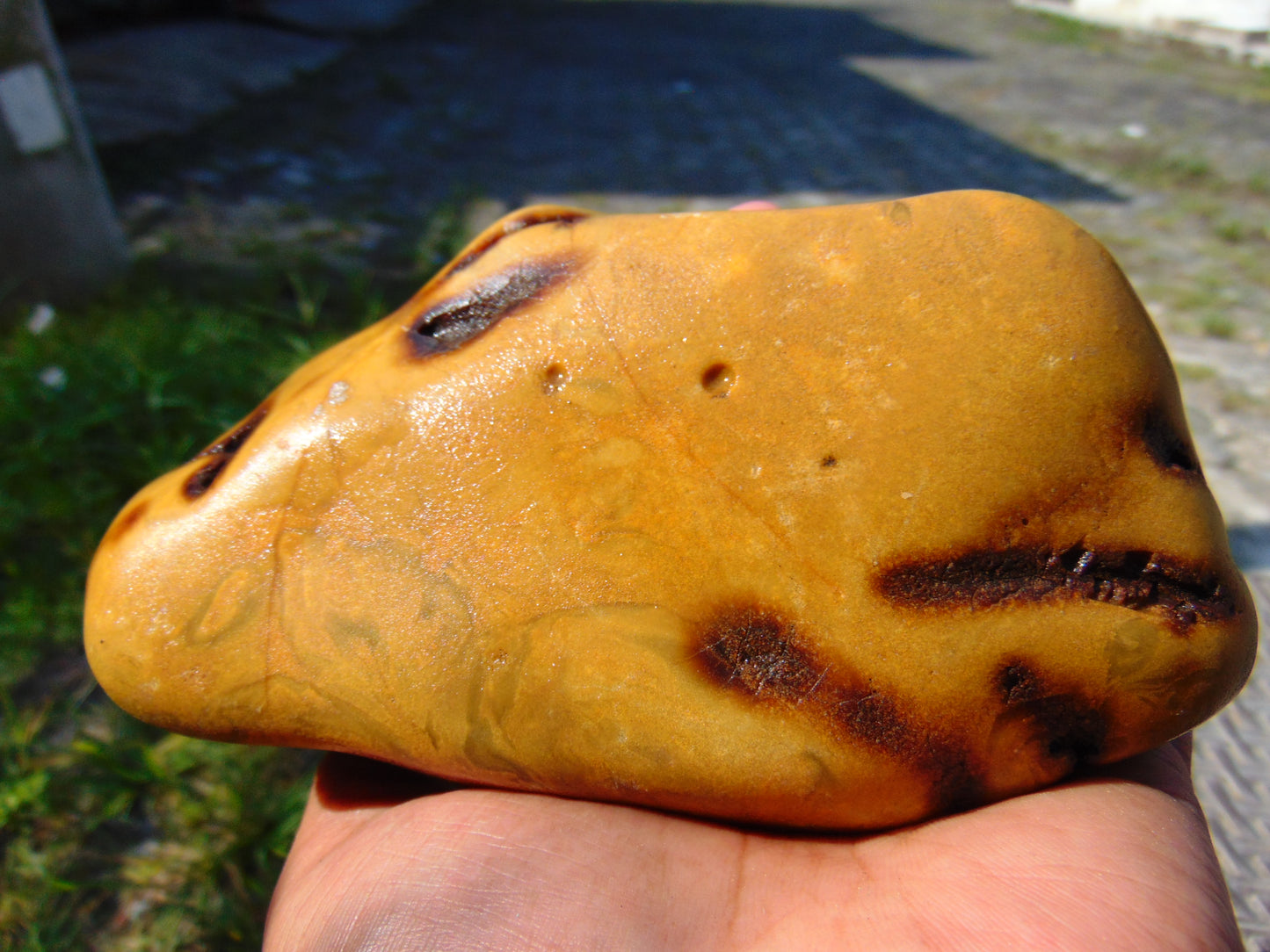 296 gram Polished Indonesia Yellow Fragrance Amber for Healing FK22