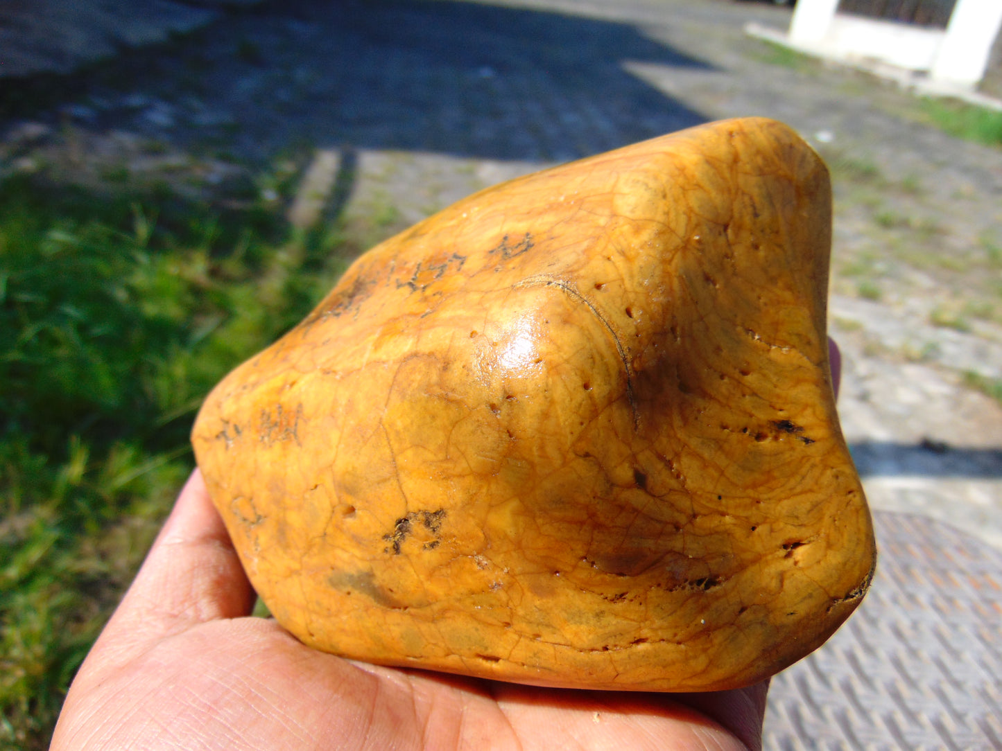 240 gram Polished Indonesia Yellow Fragrance Amber for Healing FK21