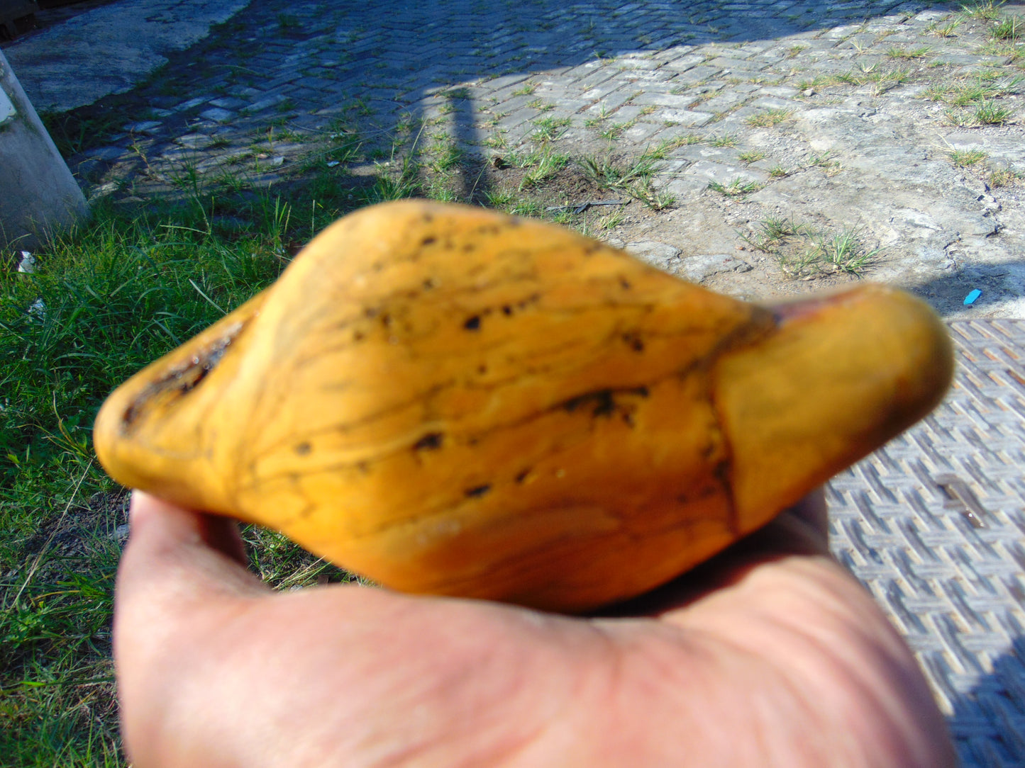 288 gram Polished Indonesia Yellow Fragrance Amber for Healing FK23