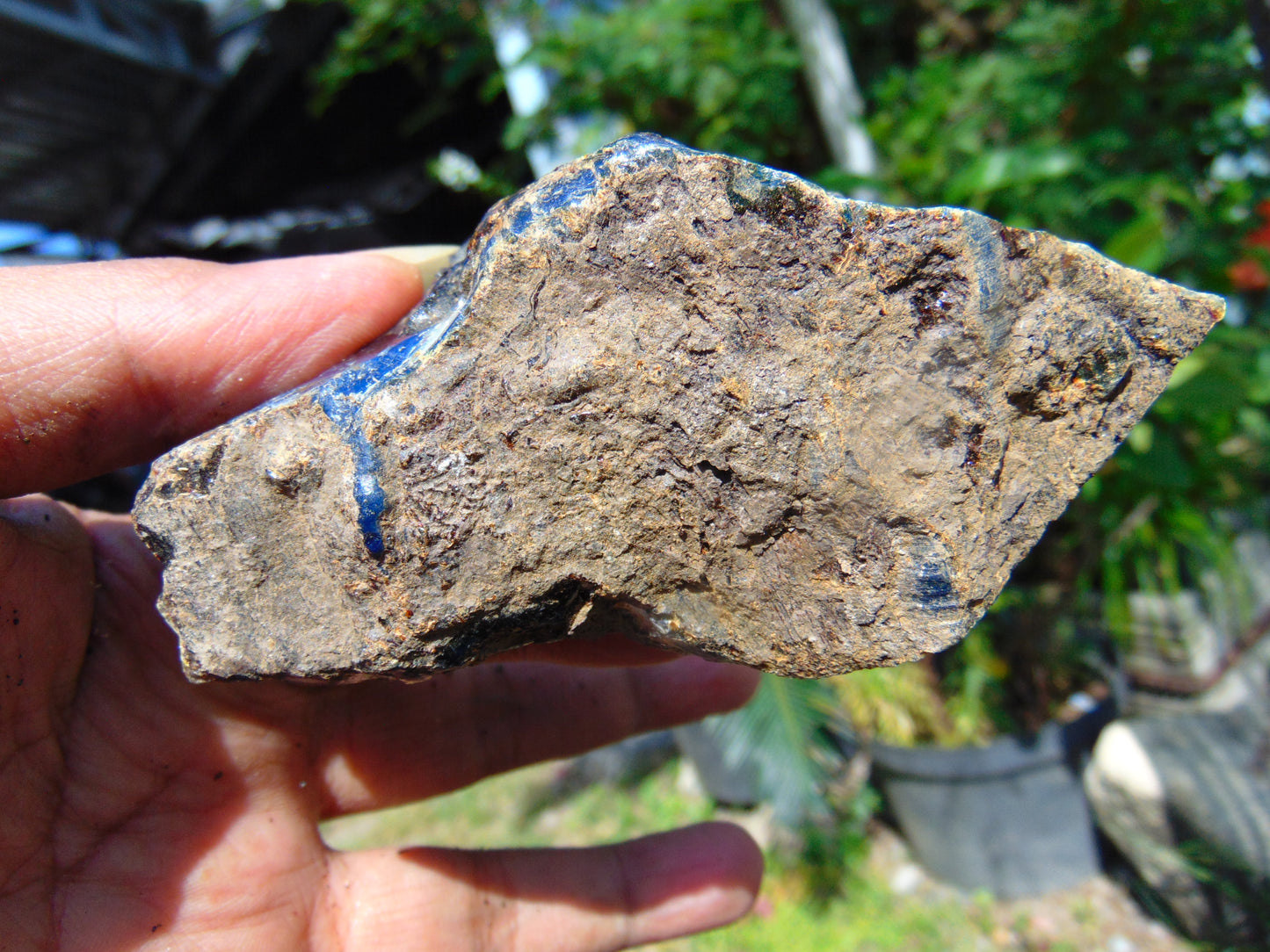 81 gram Rough Raw Indonesian Blue Amber for Healing RBM54