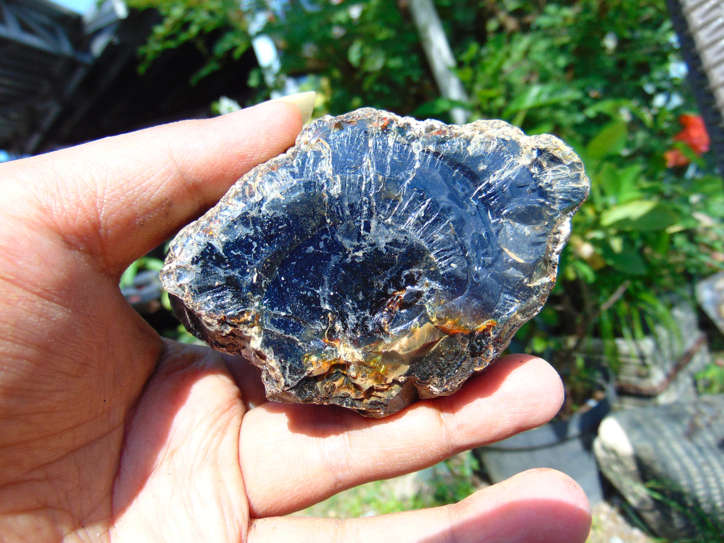 98 gram Rough Raw Indonesian Blue Amber for Healing RBM67