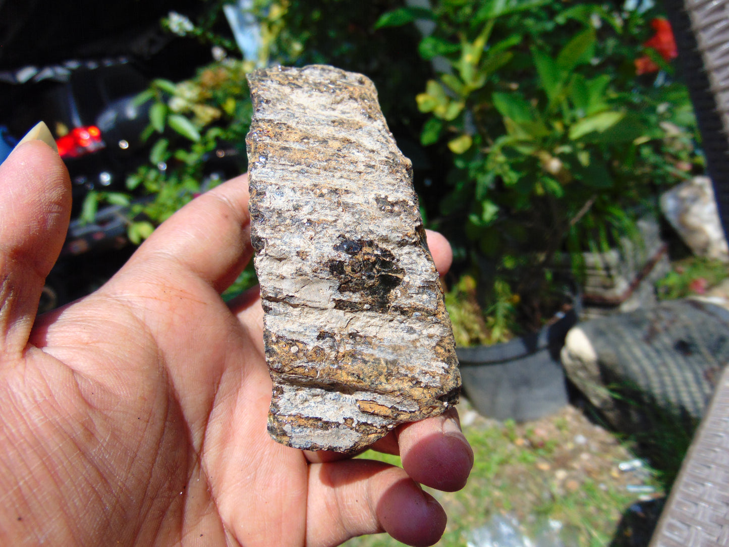 98 gram Rough Raw Indonesian Blue Amber for Healing RBM67