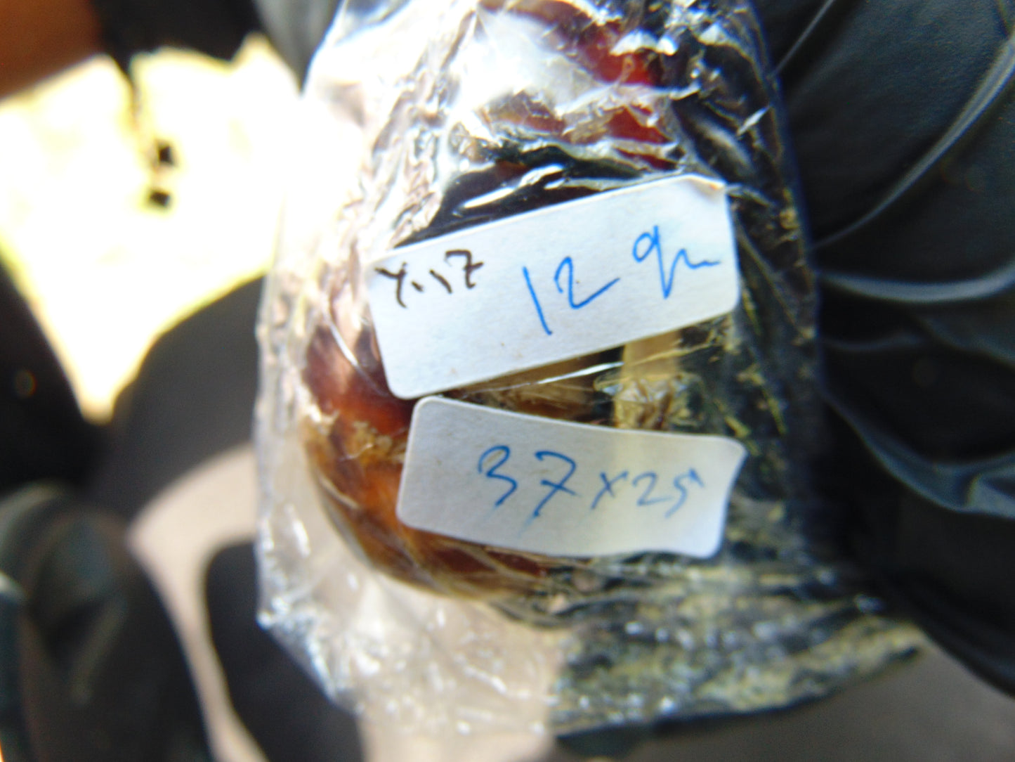 12 gr Teardrop Pendant 37x25 mm Indonesian Amber for Healing Y17