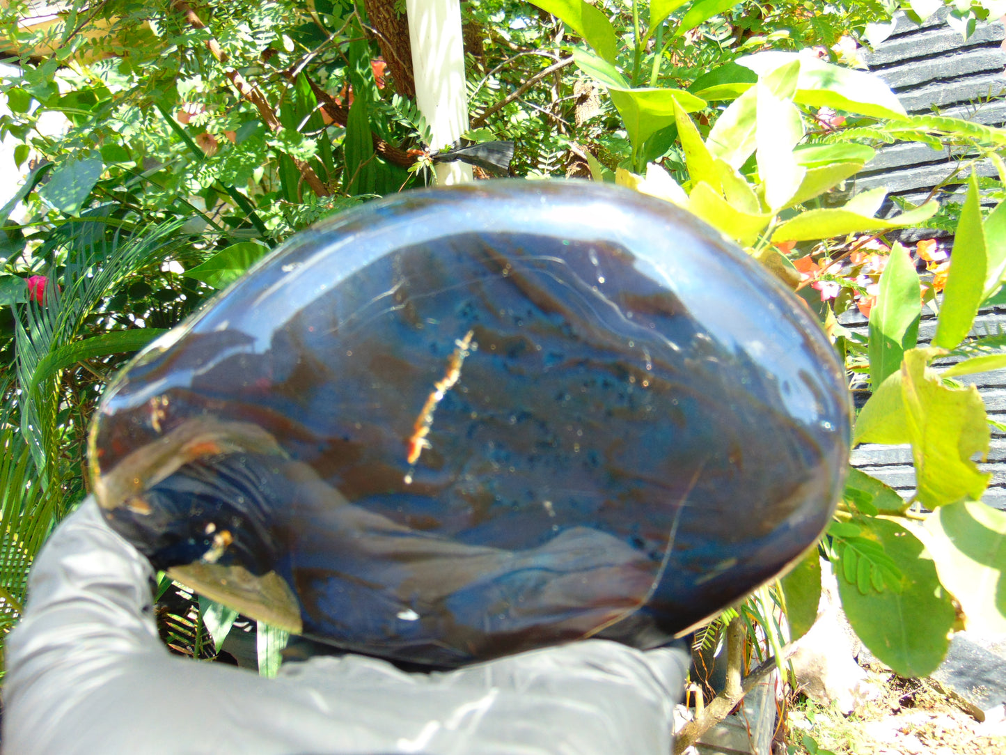 475 Gr Full Polished 13x9x4 cm Indonesia Blue Amber for Healing ML54