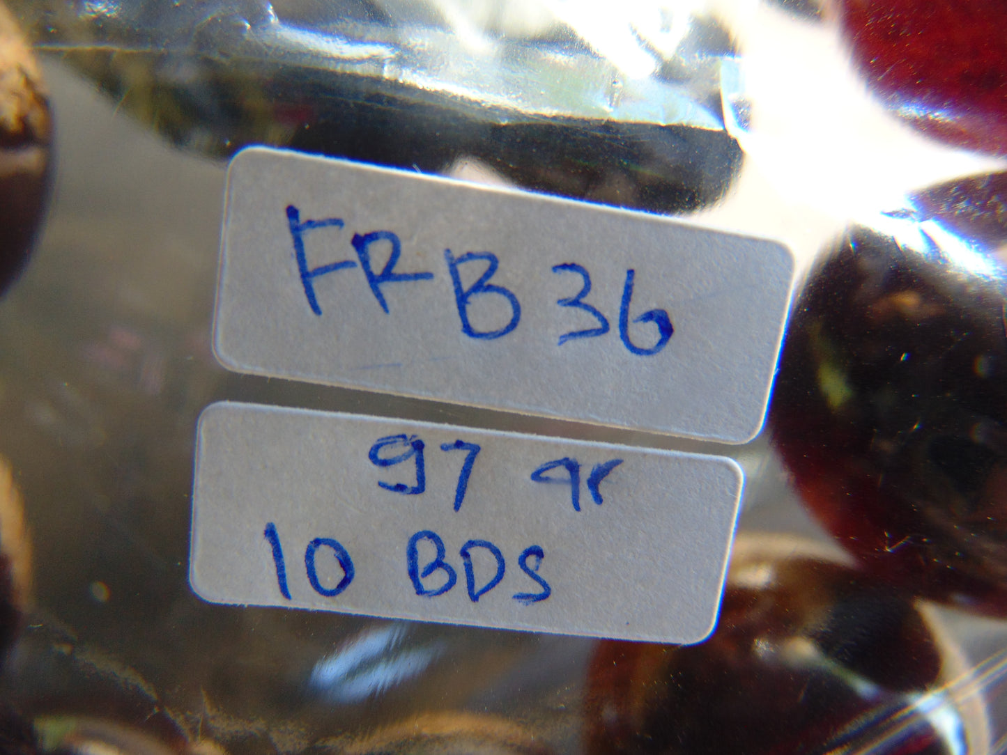 97 gram 10 Beads Mala Bracelet Indonesian Purple white Amber 25 mm for Healing FRB36