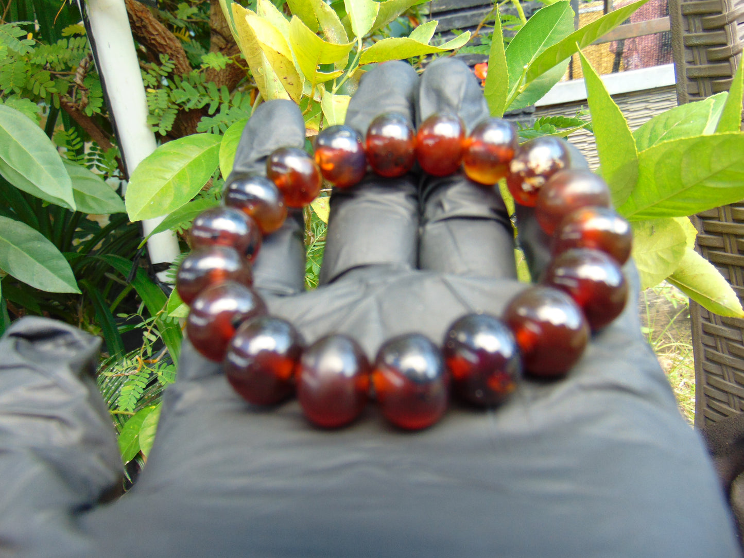 19 Gram 18 small Beads Bracelet Indonesian Cherry Red Amber 12 mm for Healing FRB28