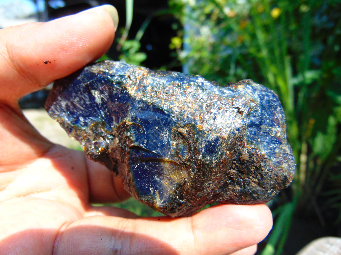 51 gram Rough Raw Indonesian Inclusion Blue Amber for Healing RB352