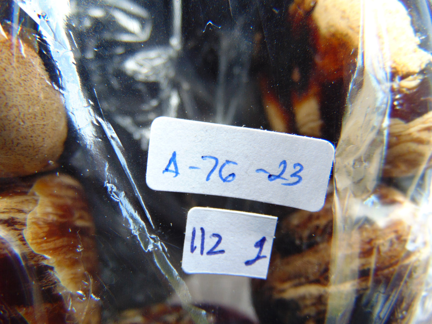 112 gr 7 Square Beads Bangle Indonesian Amber for Healing A7G23