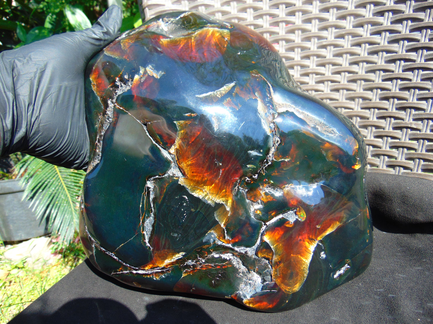 3901 Gr Full Polished Indonesian Green Amber for Healing ML56