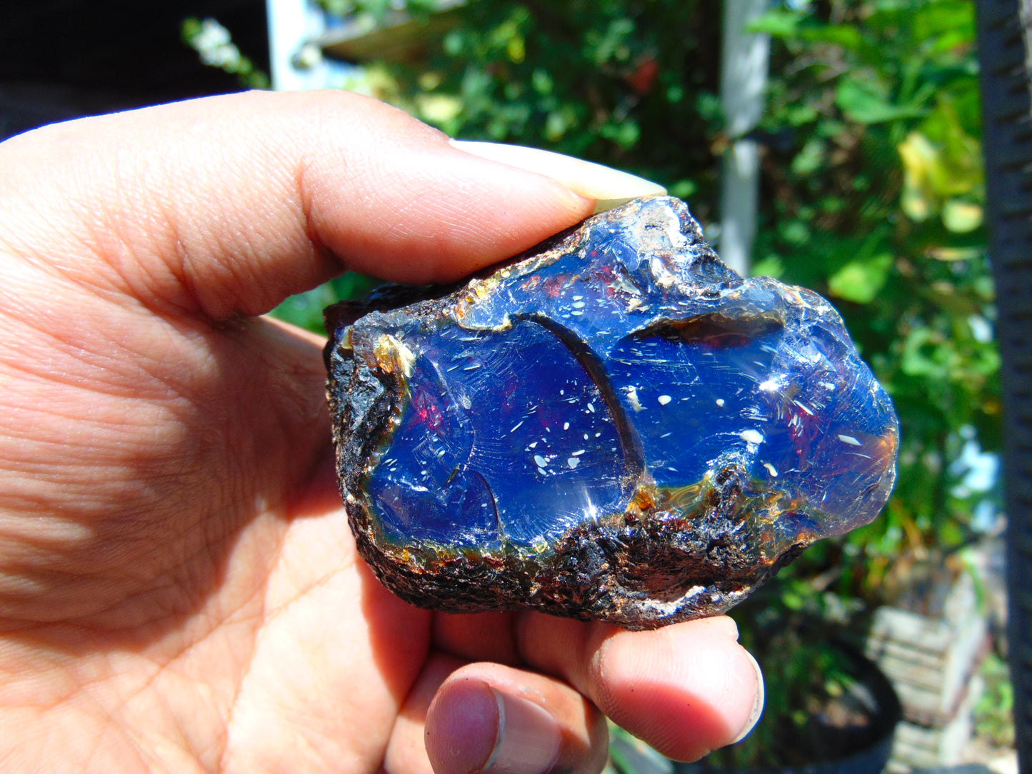 35 gram Rough Raw Indonesian Inclusion Blue Amber for Healing AGRB91