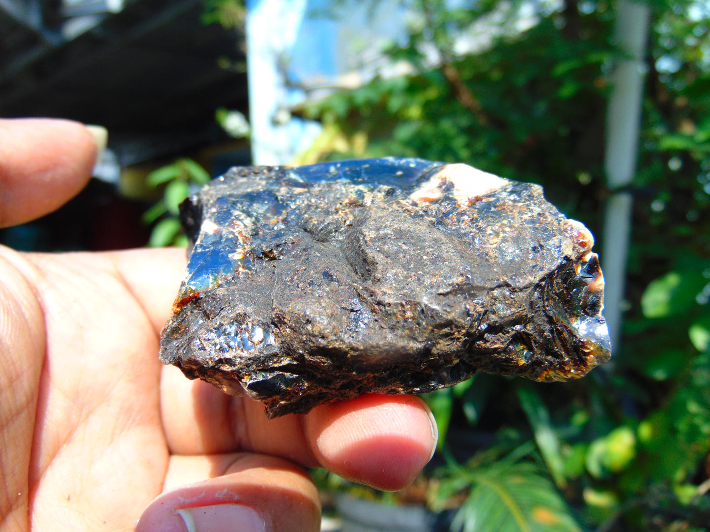 64 gram Rough Raw Indonesian Blue Amber for Healing AGRB5