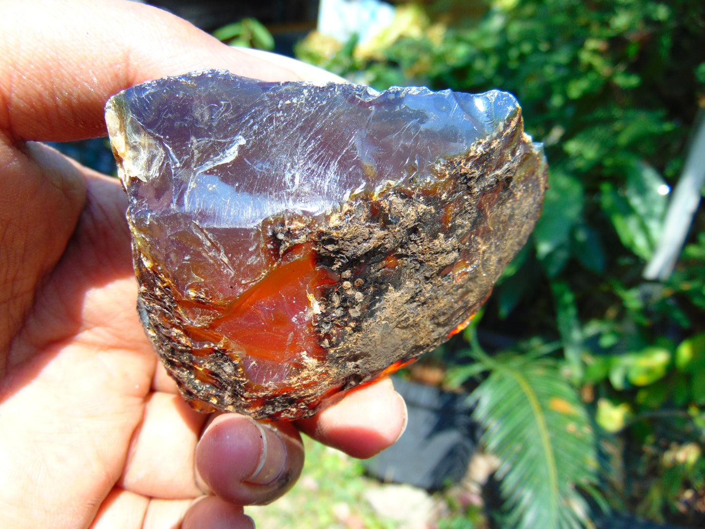56 gram Rough Raw Indonesian Blue Amber for Healing AGRB12