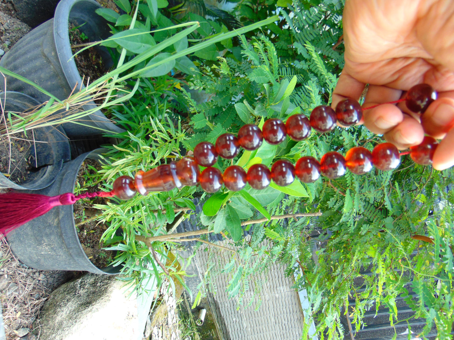 49 gr hand Tasbih 17 Beads 18 mm Indonesian Red Blue Amber for Healing TR10