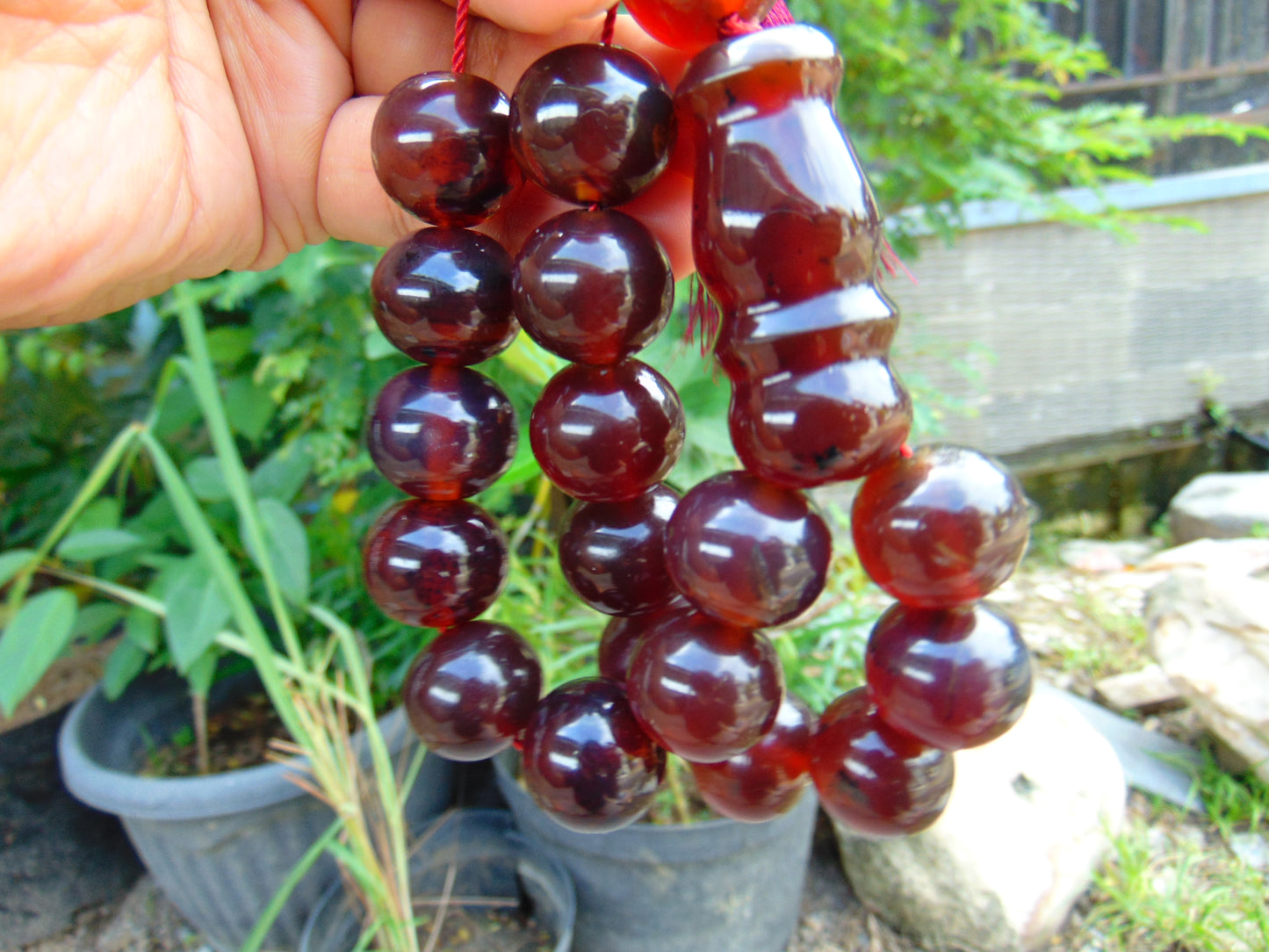 51 gr Hand Tasbih 17 Beads 18 mm Indonesian Red Amber for Healing TR7