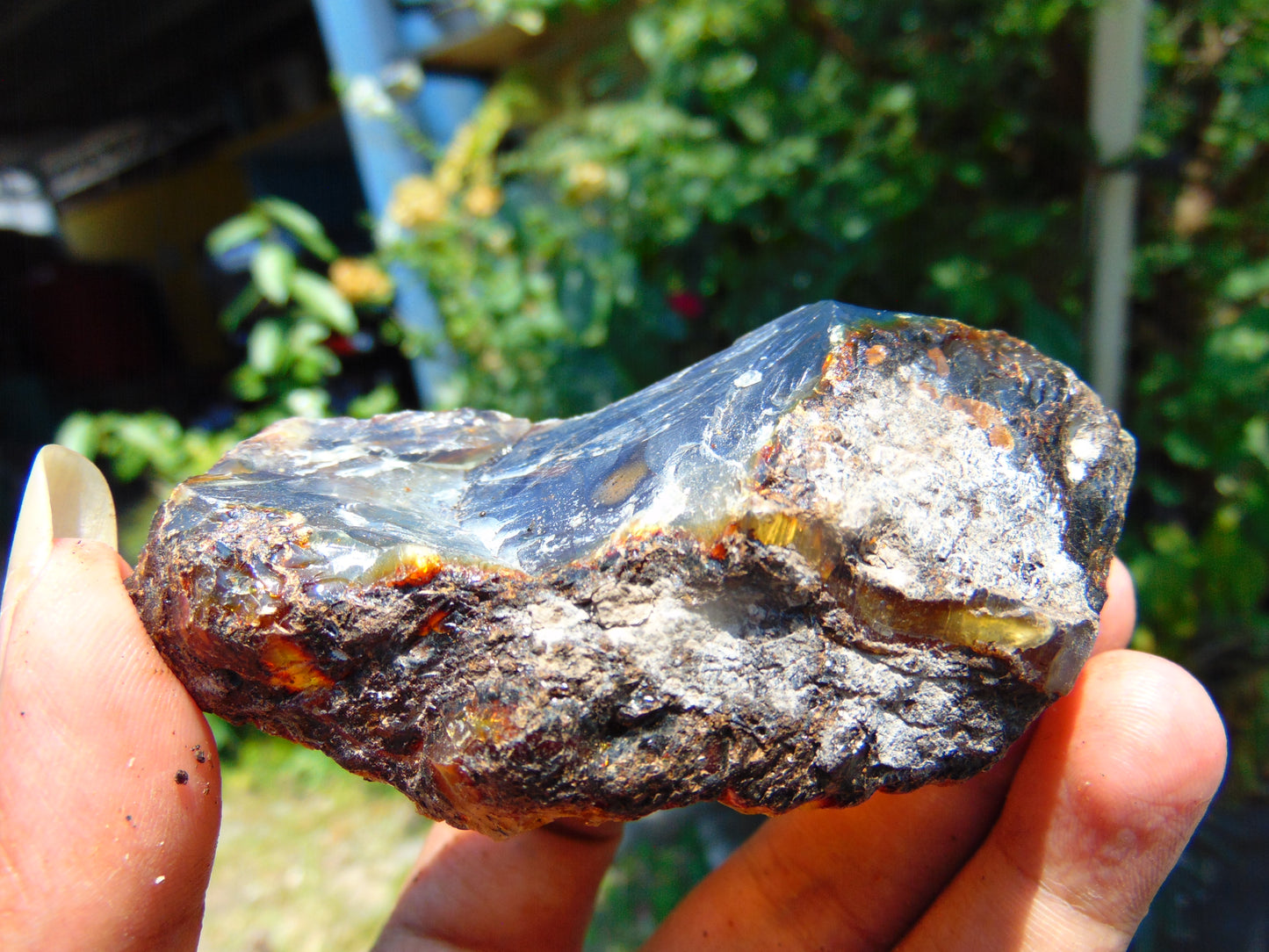 60 gram Rough Raw Indonesian Blue Amber for Healing AGRB42