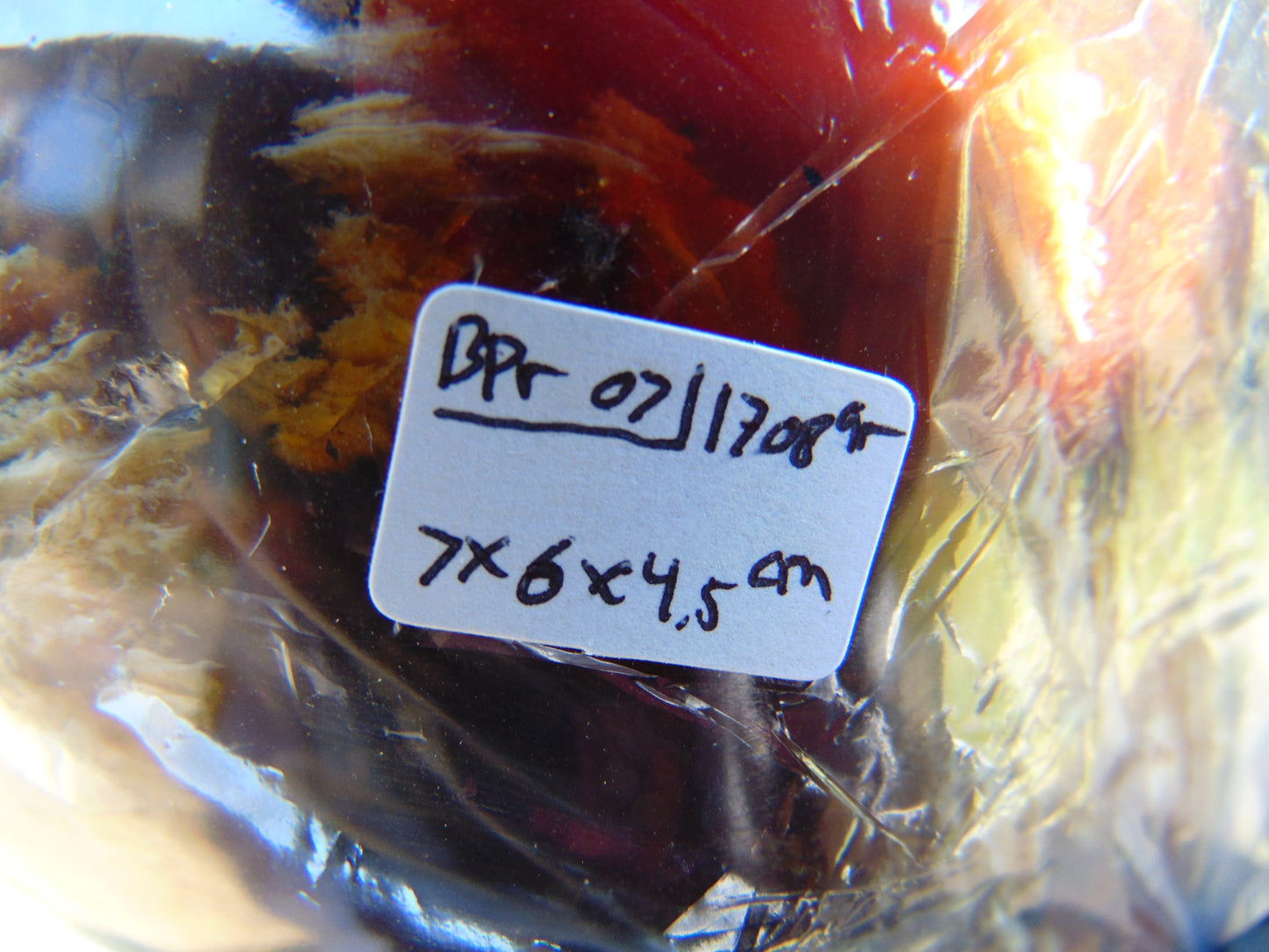 1708 gram Full Polished 17x16x11 cm Mushroom Inclusion Indonesia Green Amber for Healing BPR07