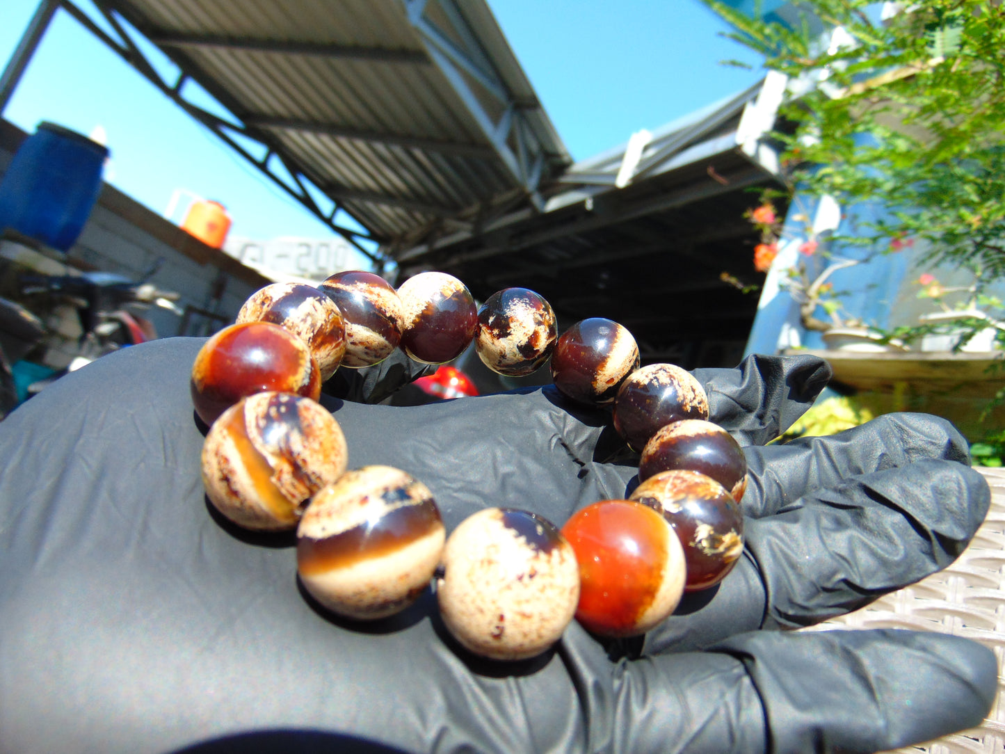44 gr 13 Beads Mala Bracelet Indonesian Sumatra Dark Amber for Healing G18B7