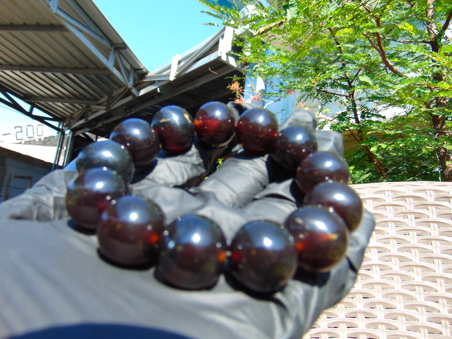 44 gr 13 Beads Mala Bracelet Indonesian Sumatra Dark Amber for Healing G18B5