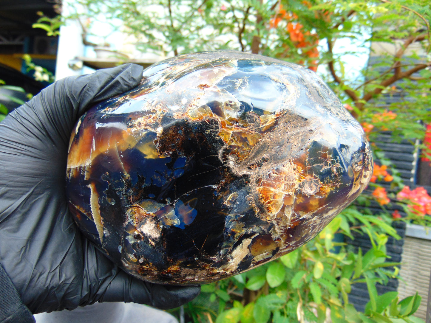 1255 gr Full Polished 16x11x7 cm Indonesian Black Blue Amber for Healing ML61