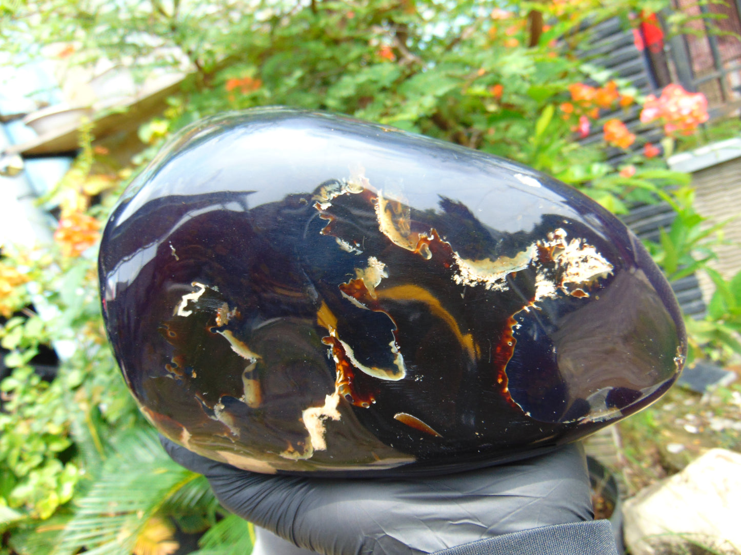 1643 gr Full Polished 22x11x9 cm Indonesian Black Blue Amber for Healing ML59