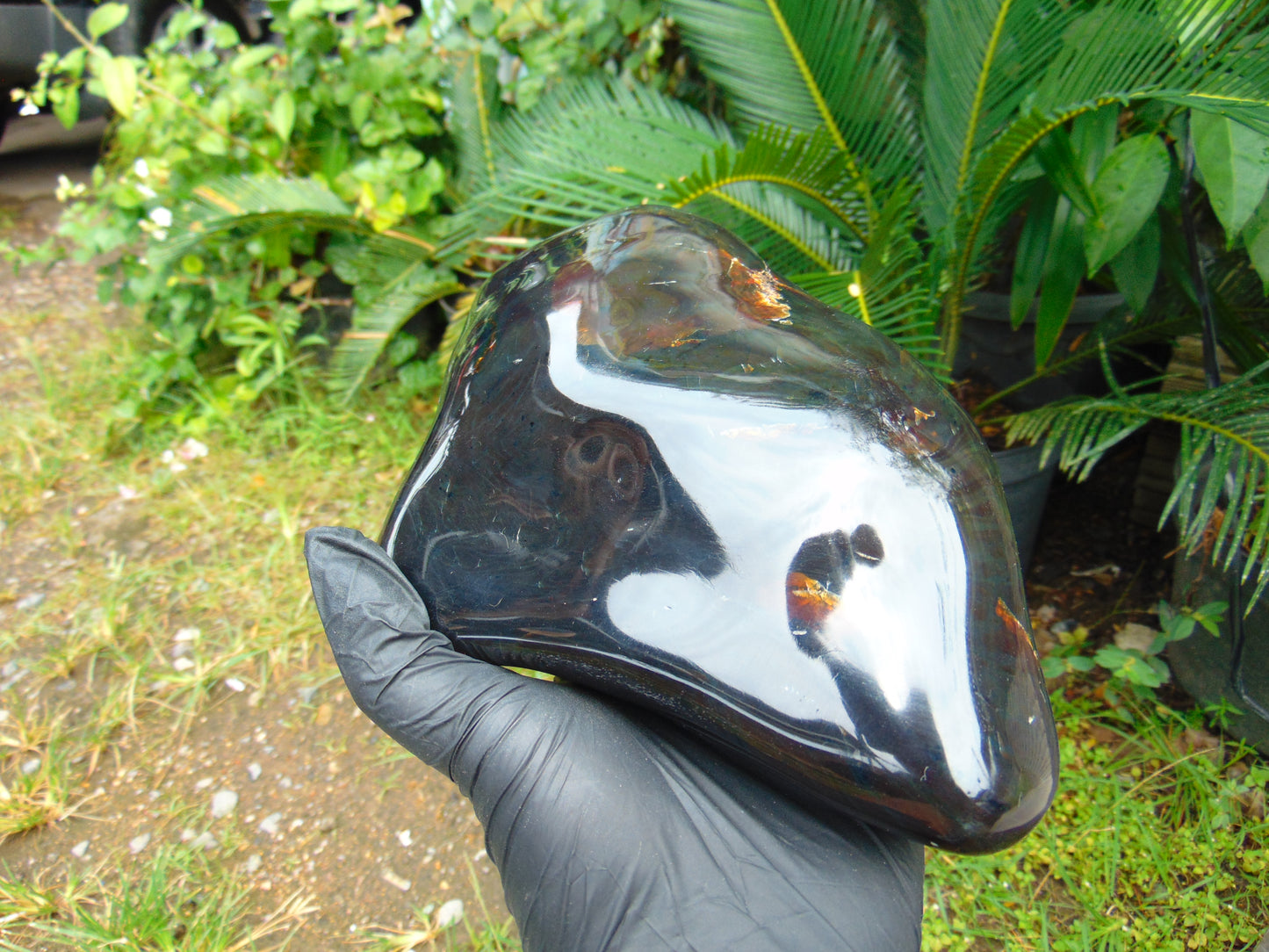 1251 gram full polished Indonesian Dark Amber for Healing ML62