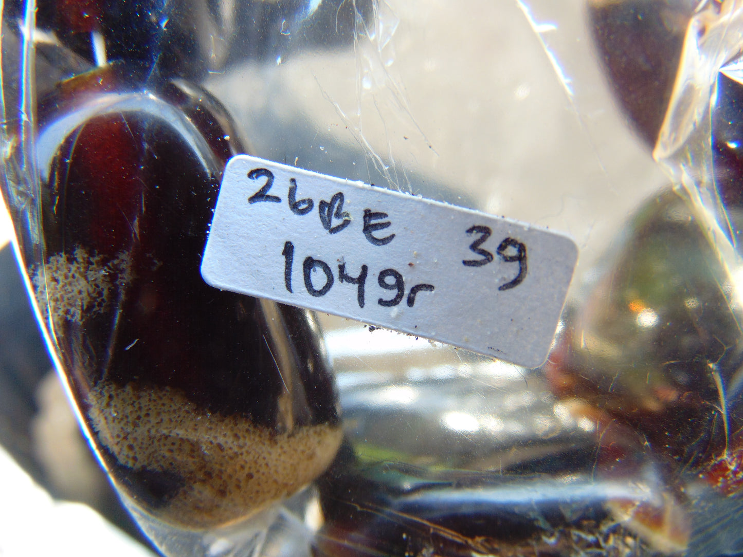 104 gr 7 Square Beads Bangle Indonesian Amber for Healing 26BE39