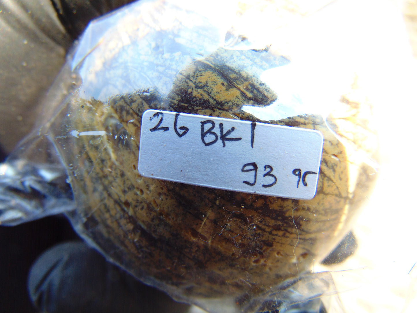 93 gram Ball Polished 10x9x9 cm Indonesia Amber for Healing 26BK1