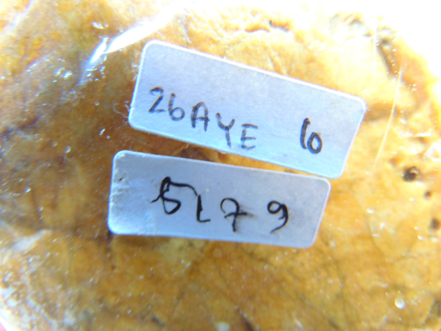 517 gram Polished Indonesia Yellow Aromatic Amber for Healing 26AYE10