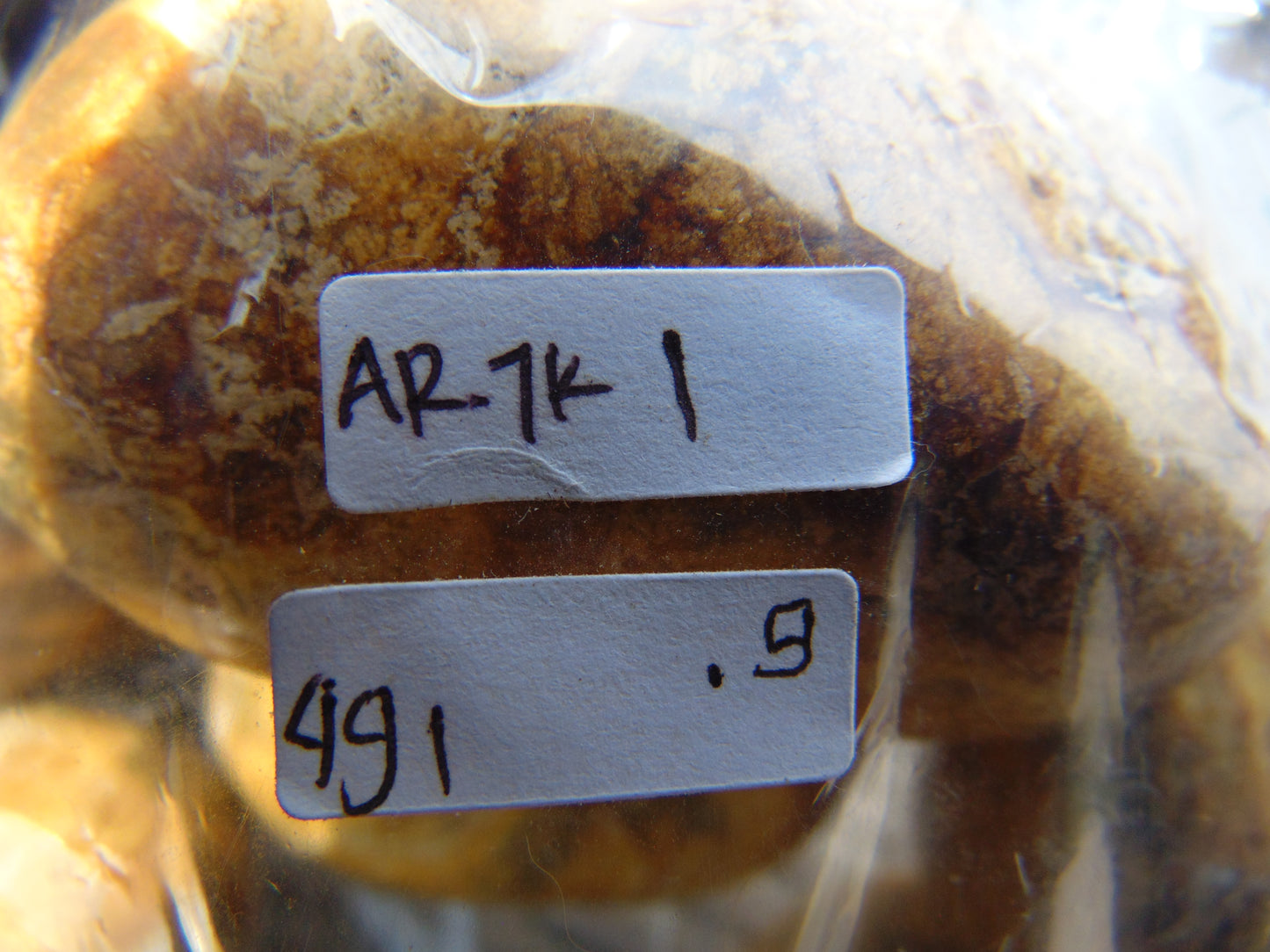 491 gr Big Necklace Indonesian Yellow Aromatic Amber for Healing AR7K1