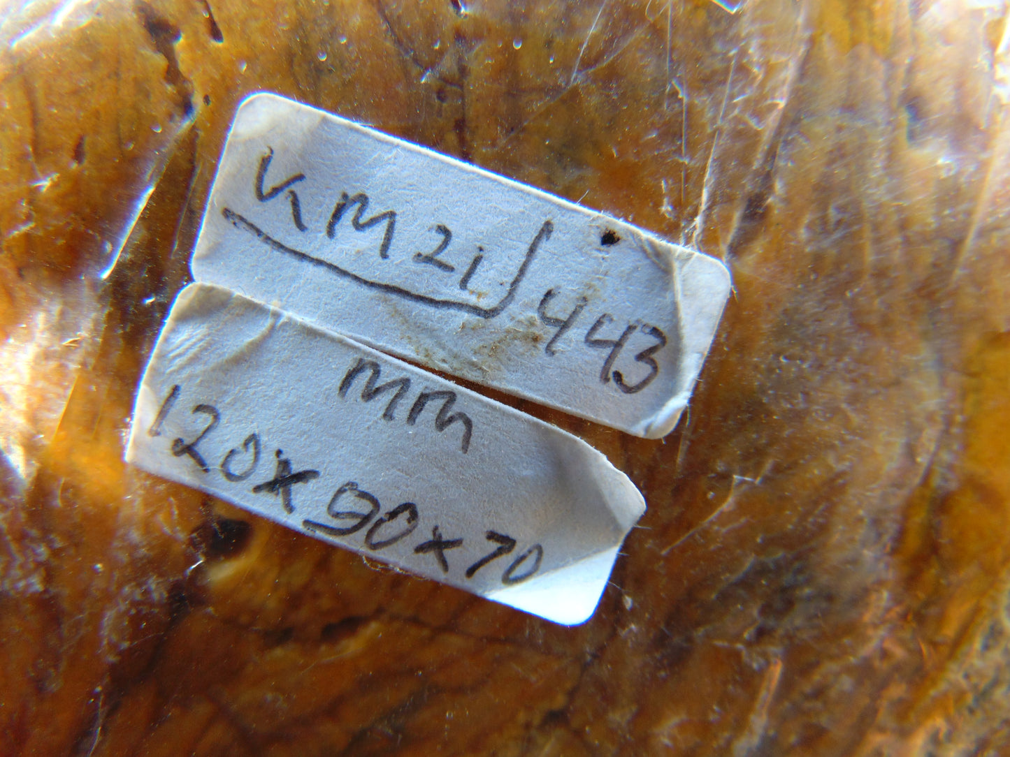 443 gram Polished Indonesia Yellow Aromatic Amber for Healing KM21