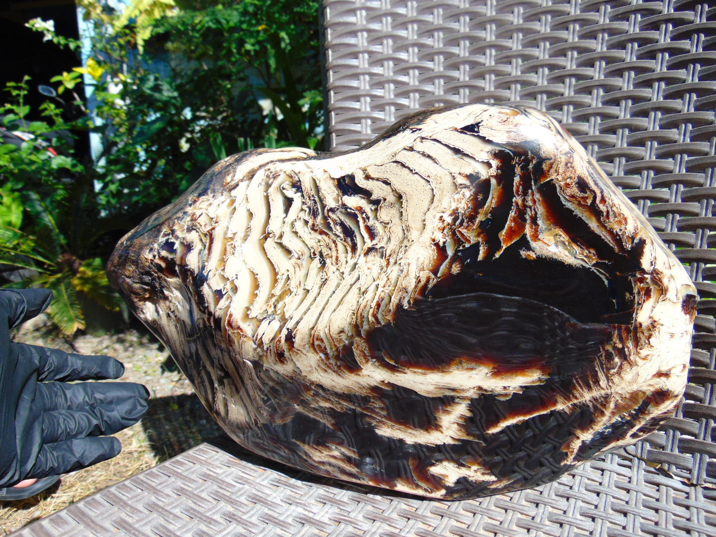 5696 gram Big Full Polished 24x16x9 cm Indonesia Black White Amber for Healing ML39