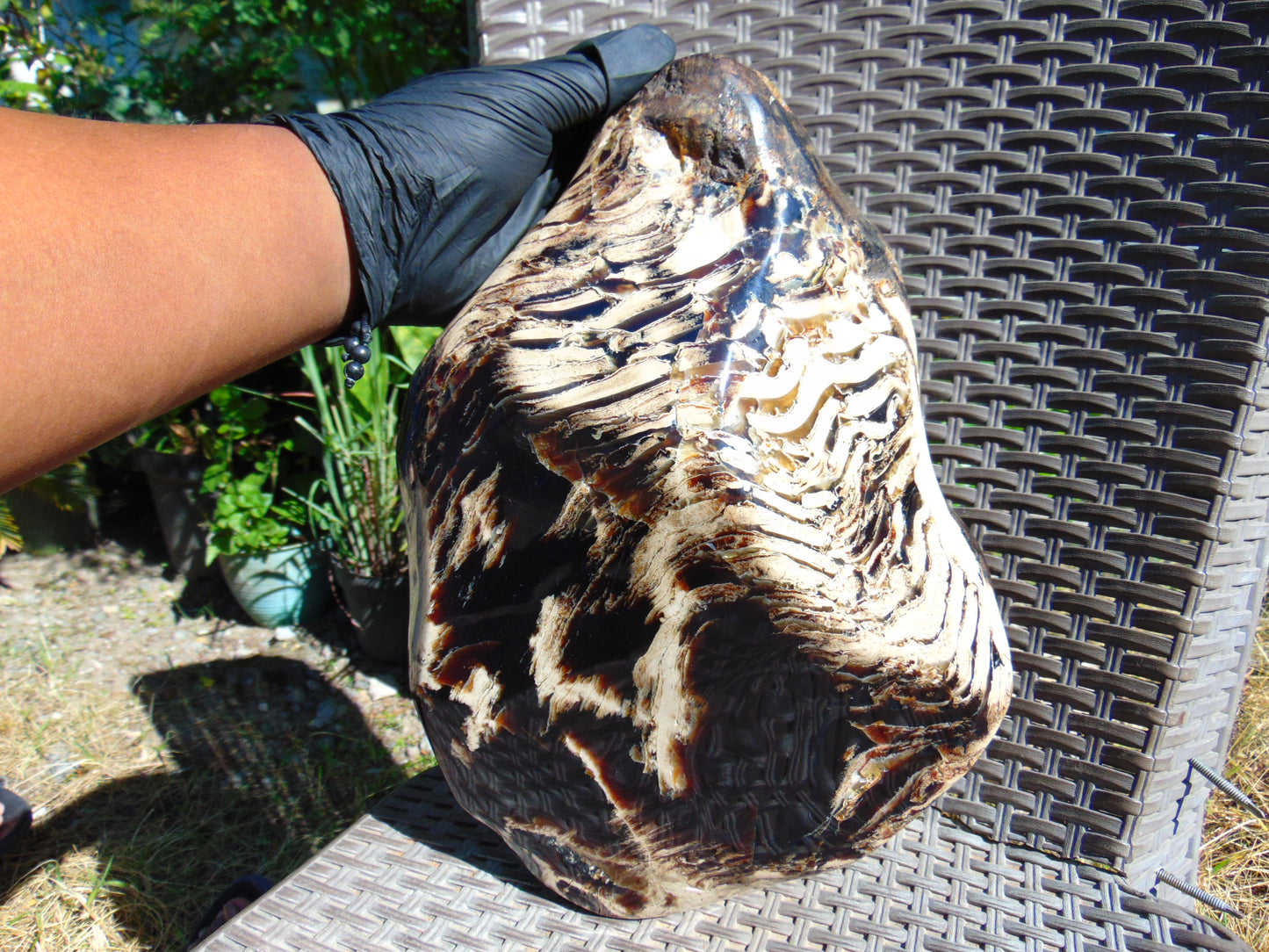 5696 gram Big Full Polished 24x16x9 cm Indonesia Black White Amber for Healing ML39