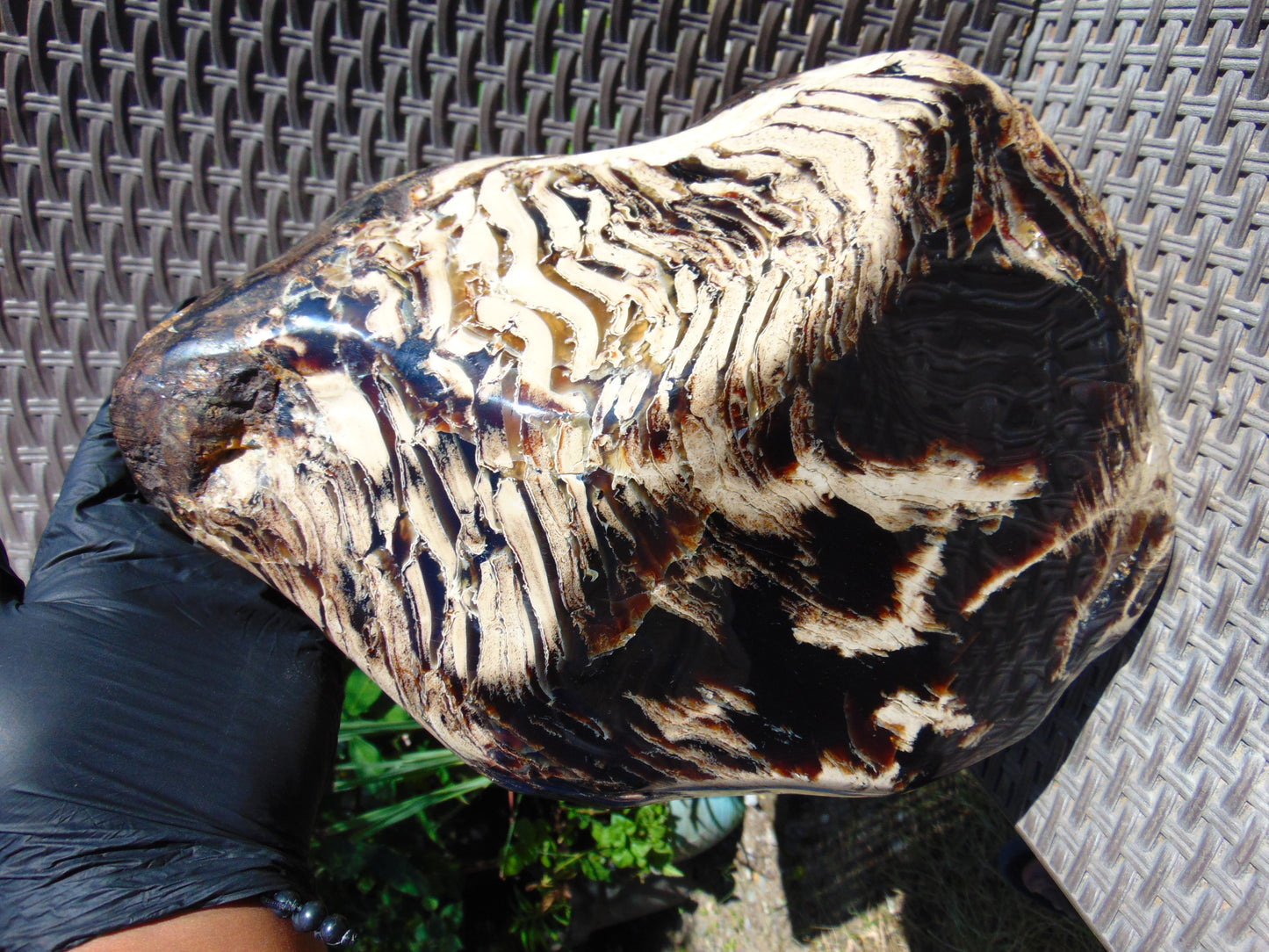 5696 gram Big Full Polished 24x16x9 cm Indonesia Black White Amber for Healing ML39