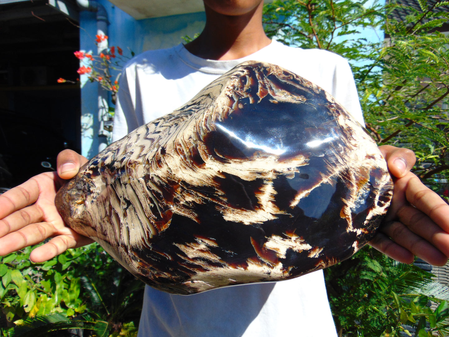 5696 gram Big Full Polished 24x16x9 cm Indonesia Black White Amber for Healing ML39