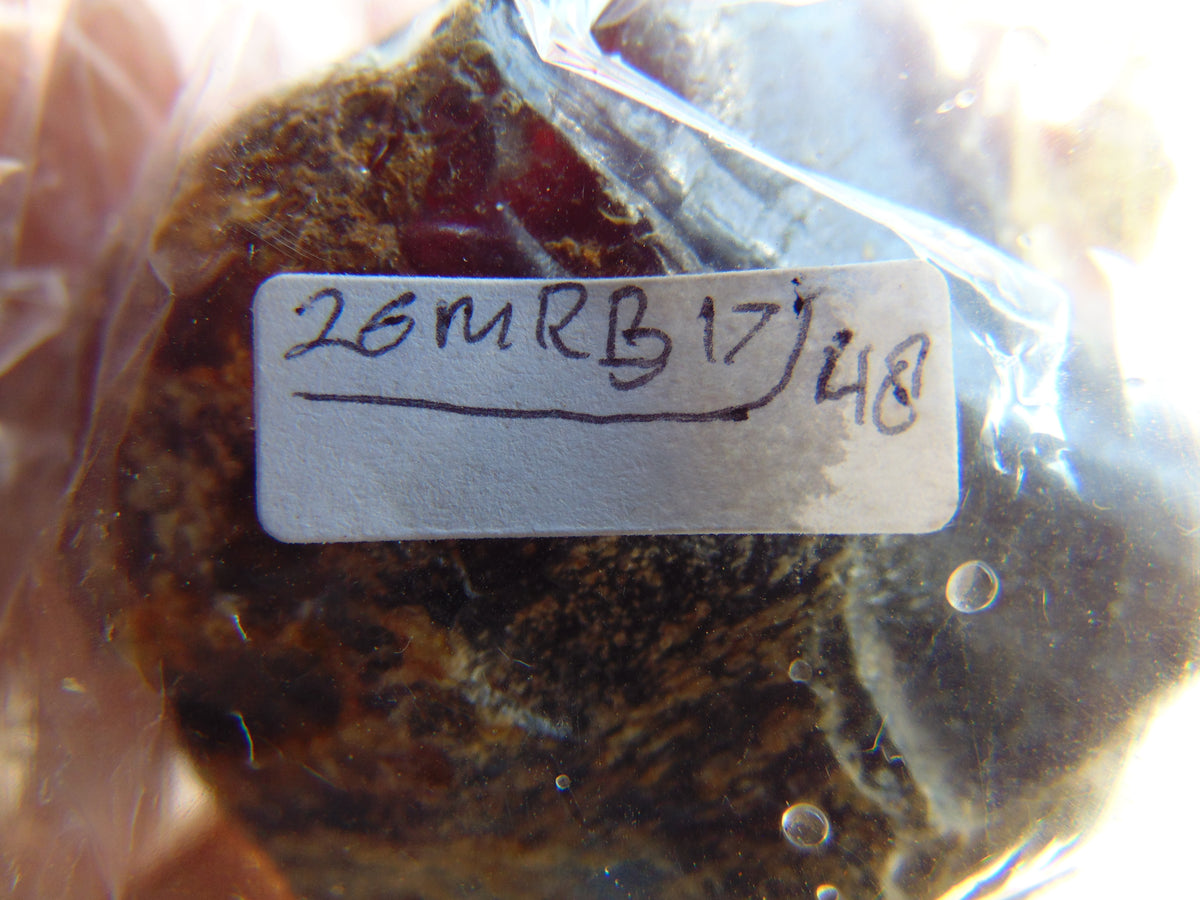 48 gram Rough Raw Indonesian Blue Amber for Healing 26MRB17