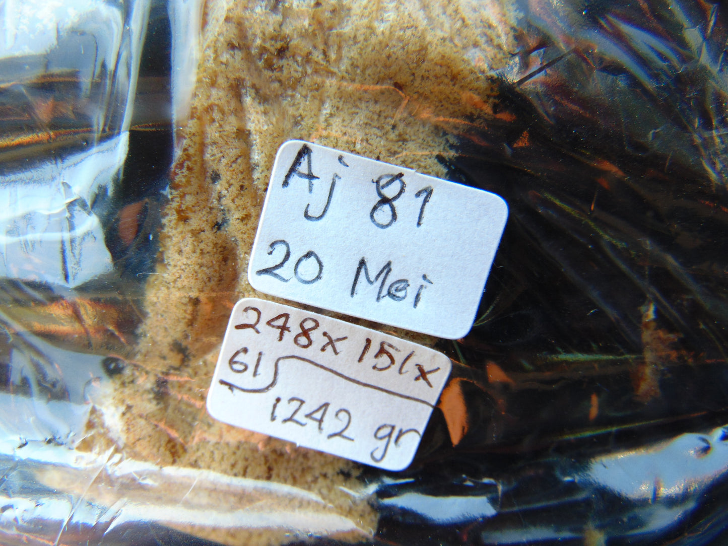 1240 gr Sleep Buddha with 5 Face Dream 250x150x50 mm Indonesia Zebra Amber