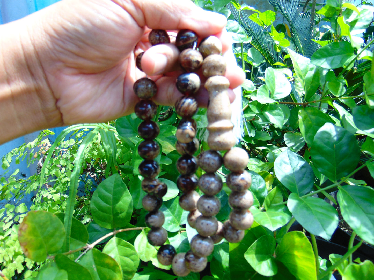 65 gr Tasbih Mesbah Rosary 35 Beads 14 mm Indonesian White Amber for Healing TB01