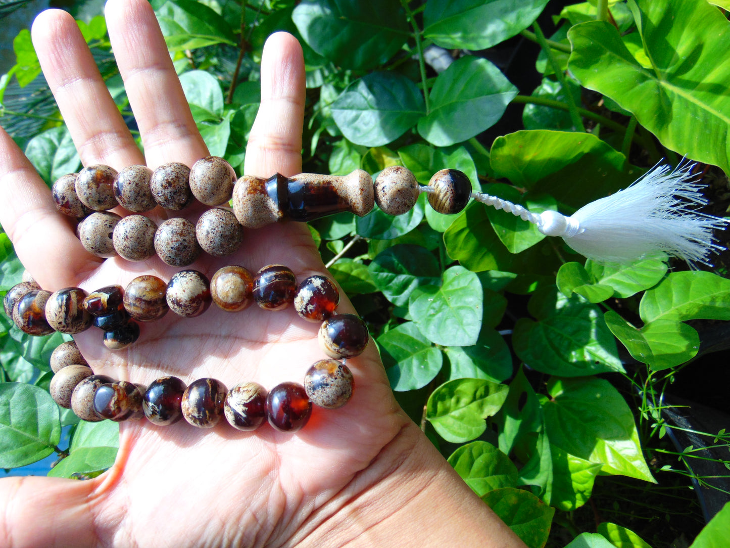 65 gr Tasbih Mesbah Rosary 35 Beads 14 mm Indonesian White Amber for Healing TB01