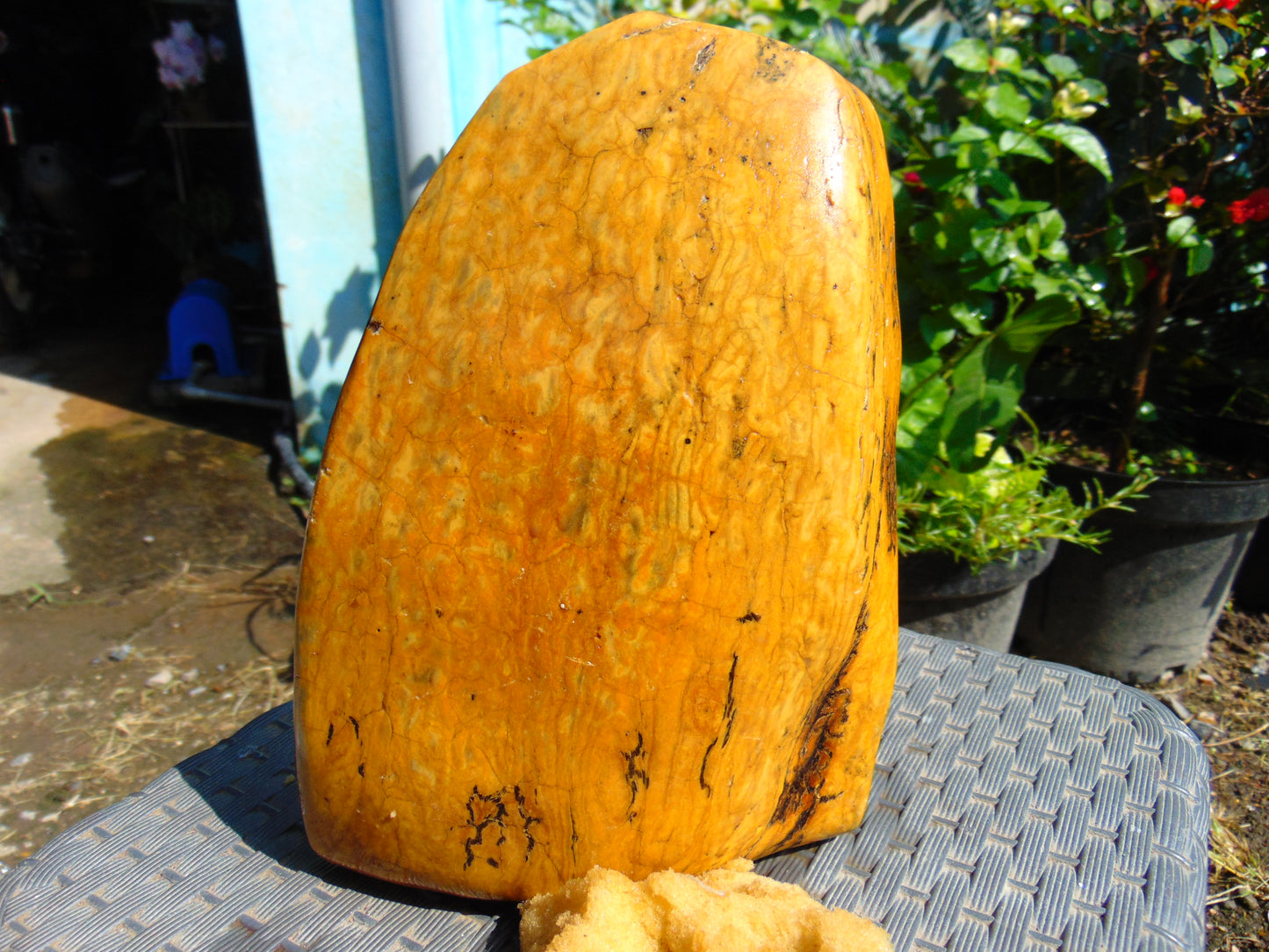 1066 gram Polished Indonesia Yellow Fragrance Amber for Healing K705