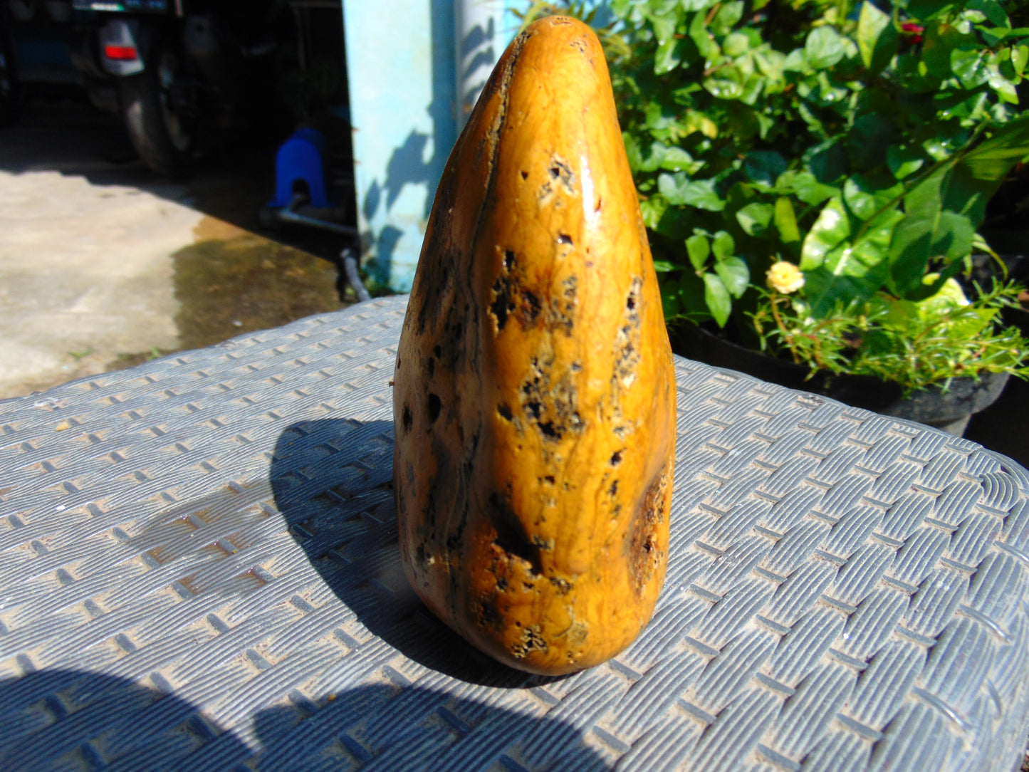270 gram Polished Indonesia Yellow Fragrance Amber for Healing K706
