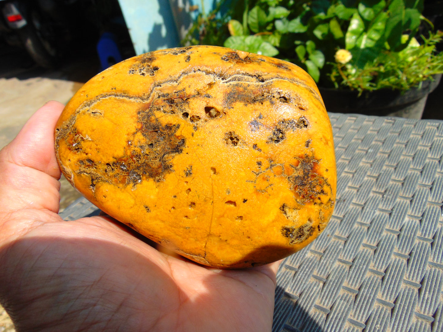 270 gram Polished Indonesia Yellow Fragrance Amber for Healing K706